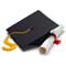 Degree Icon